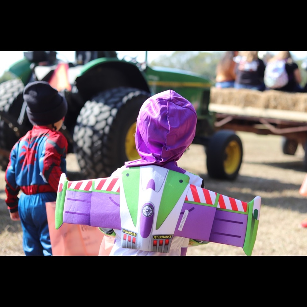 Meet your Posher, Brie